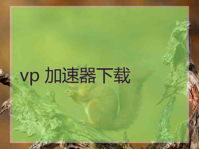 vp 加速器下载