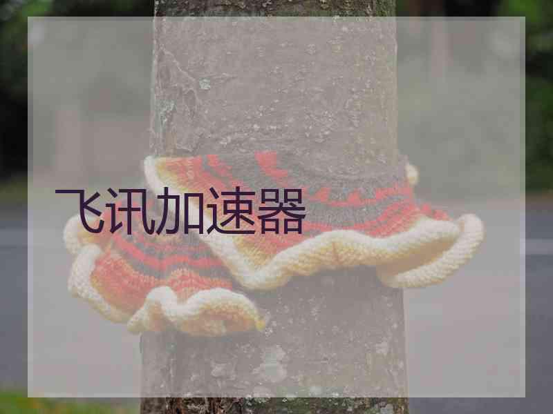 飞讯加速器