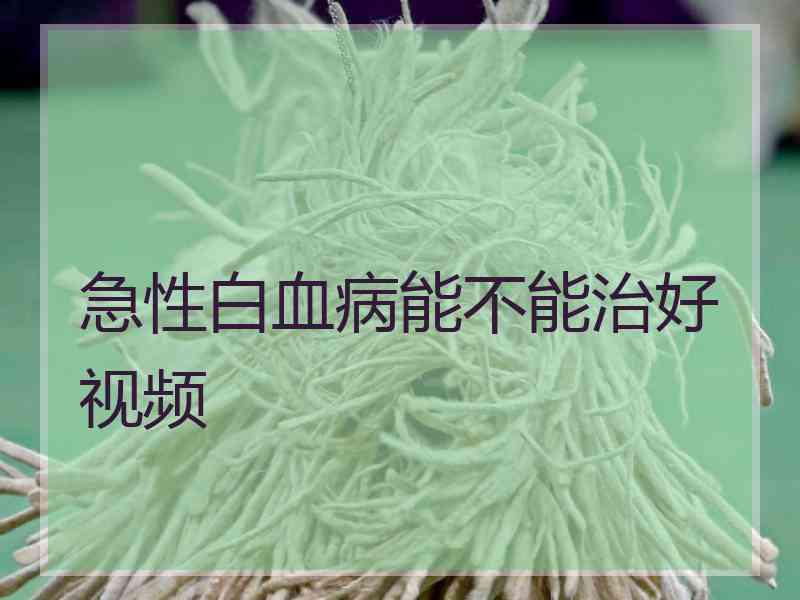 急性白血病能不能治好视频