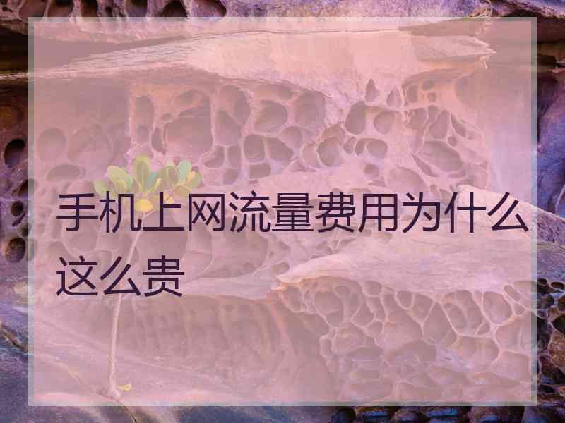 手机上网流量费用为什么这么贵