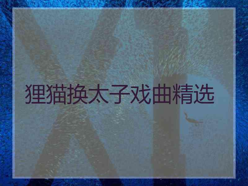 狸猫换太子戏曲精选