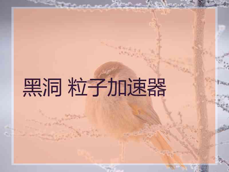黑洞 粒子加速器