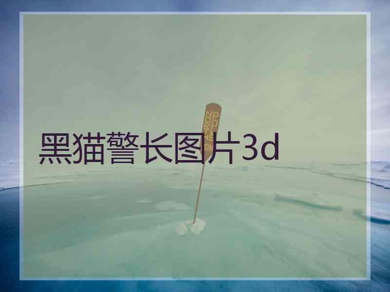 黑猫警长图片3d