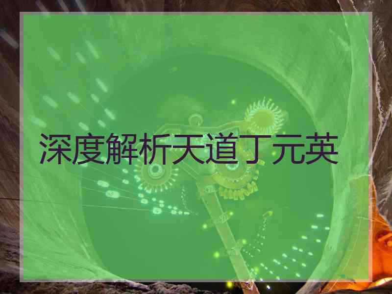 深度解析天道丁元英