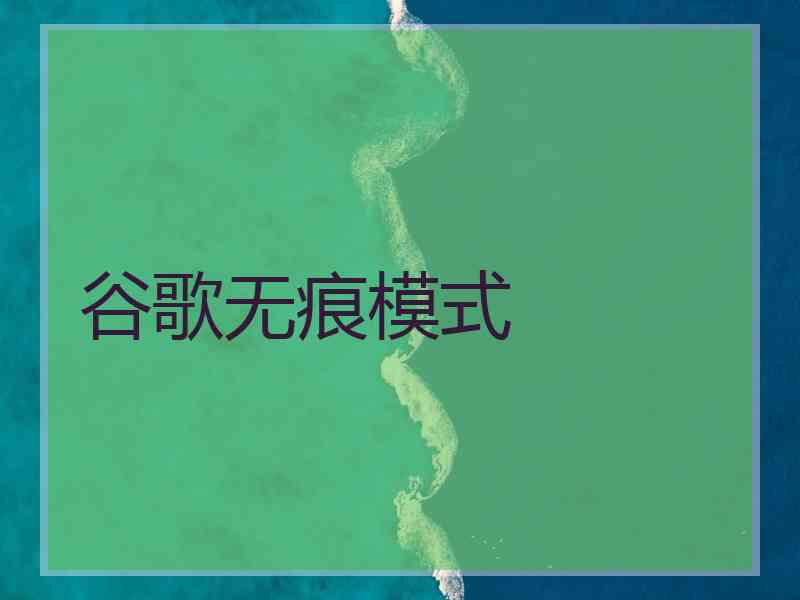 谷歌无痕模式