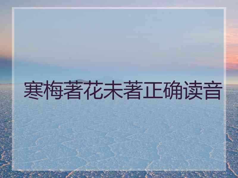 寒梅著花未著正确读音