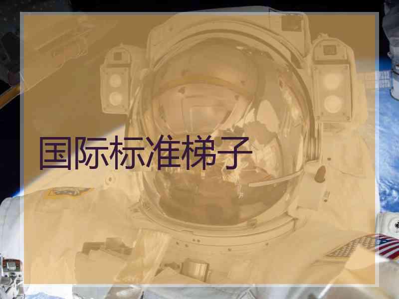 国际标准梯子