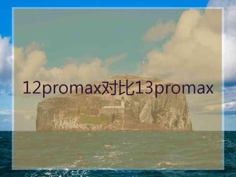 12promax对比13promax