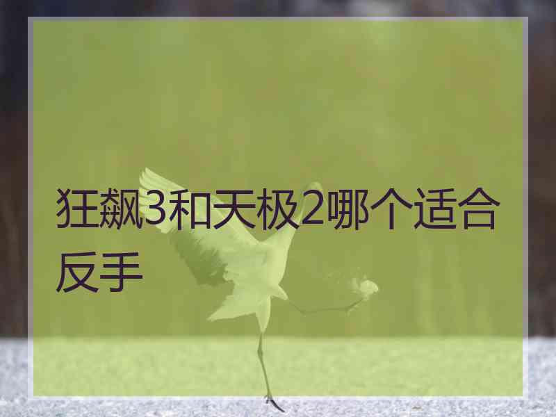 狂飙3和天极2哪个适合反手