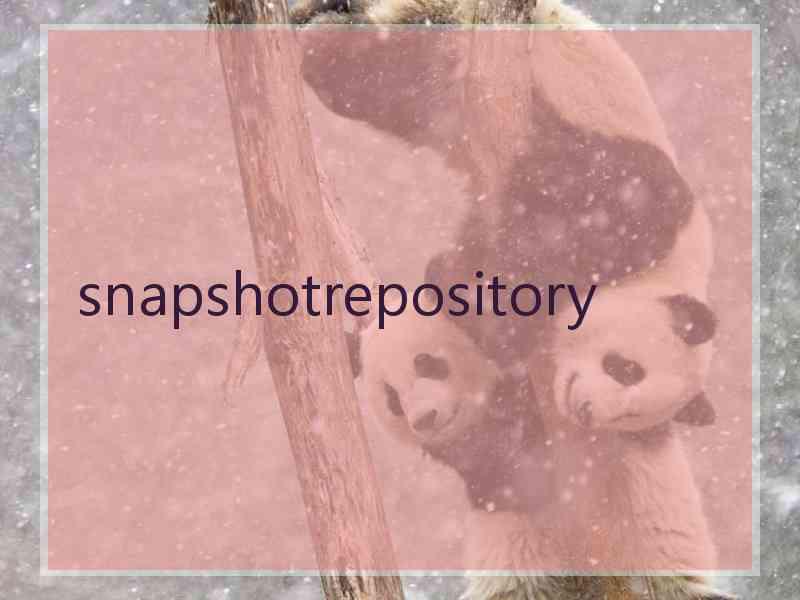 snapshotrepository