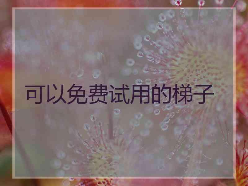 可以免费试用的梯子