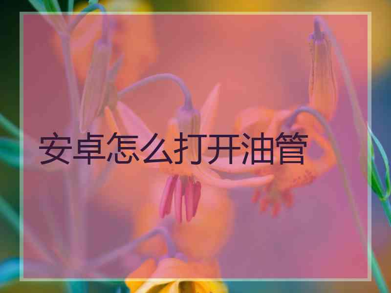 安卓怎么打开油管