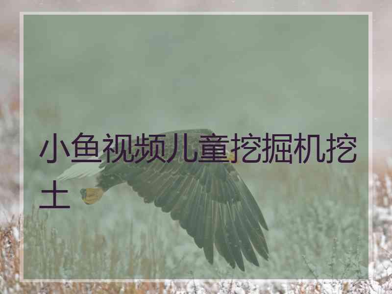 小鱼视频儿童挖掘机挖土
