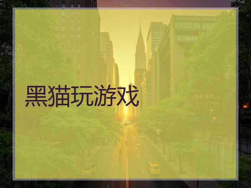 黑猫玩游戏