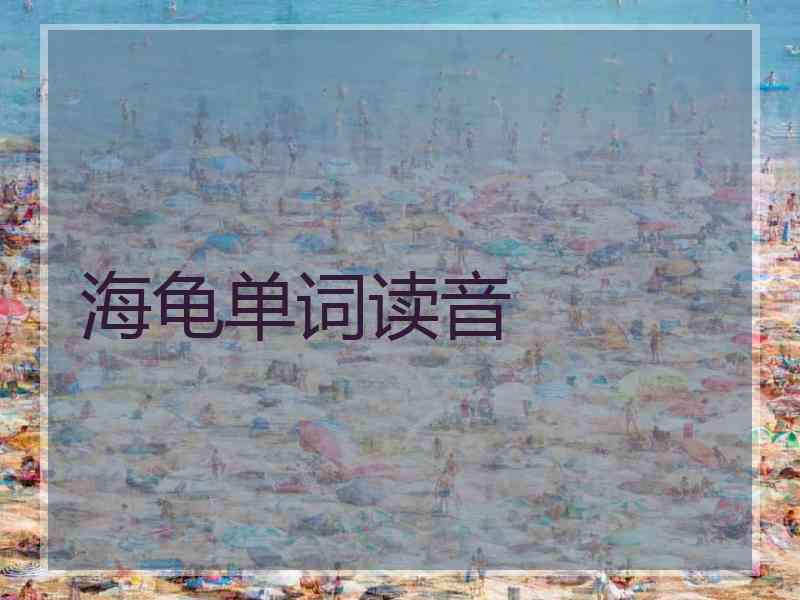 海龟单词读音