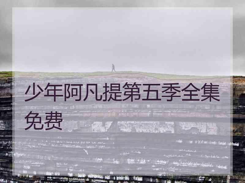 少年阿凡提第五季全集免费