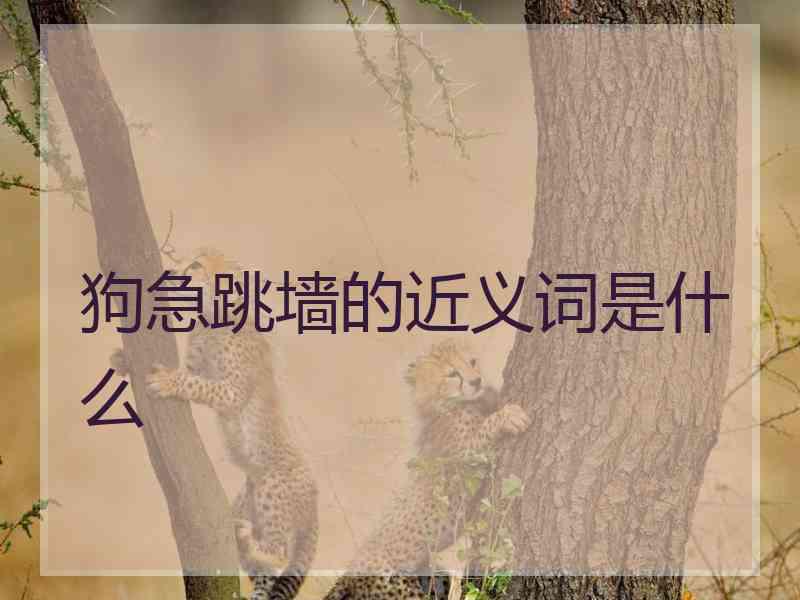 狗急跳墙的近义词是什么