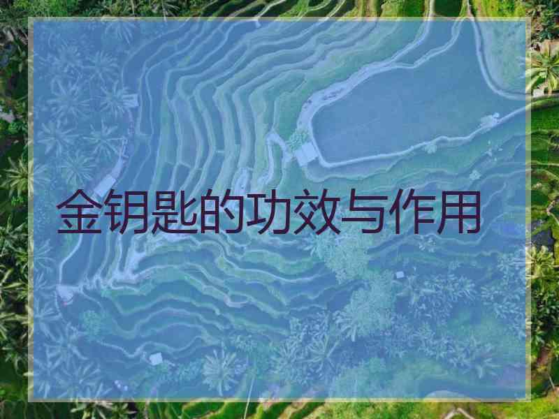 金钥匙的功效与作用
