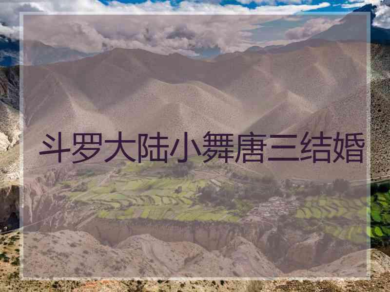 斗罗大陆小舞唐三结婚