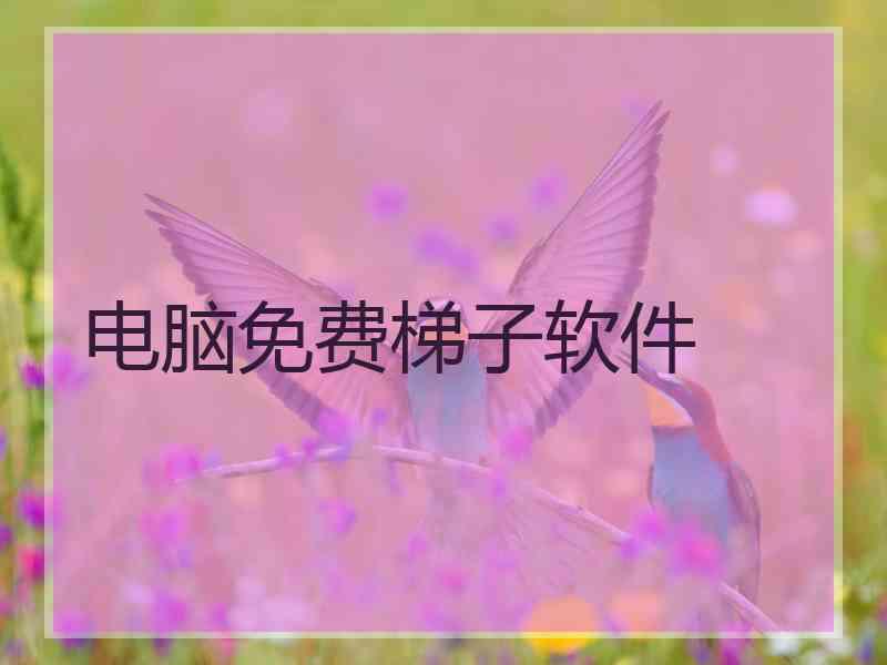电脑免费梯子软件