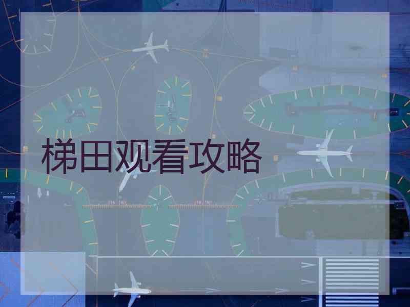 梯田观看攻略