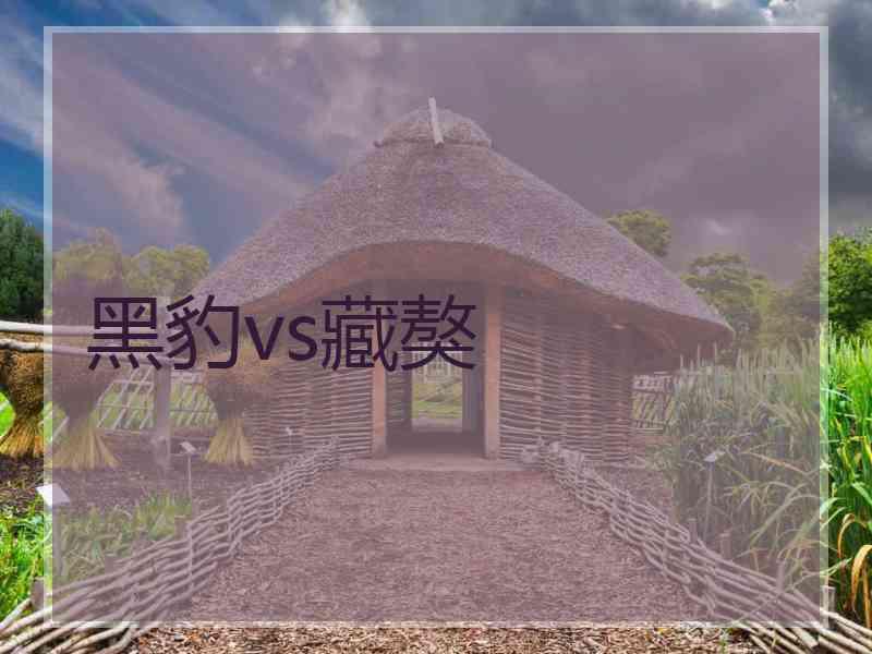 黑豹vs藏獒