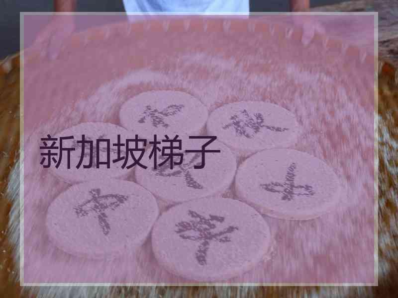 新加坡梯子