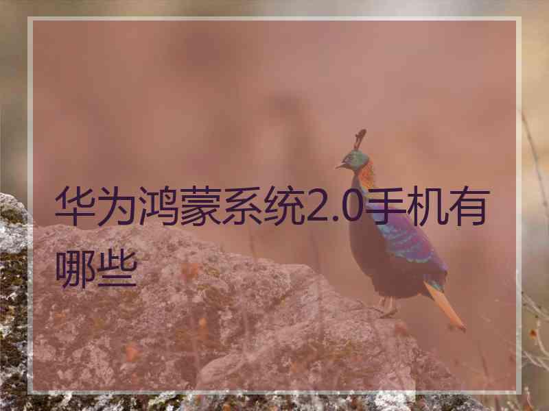 华为鸿蒙系统2.0手机有哪些