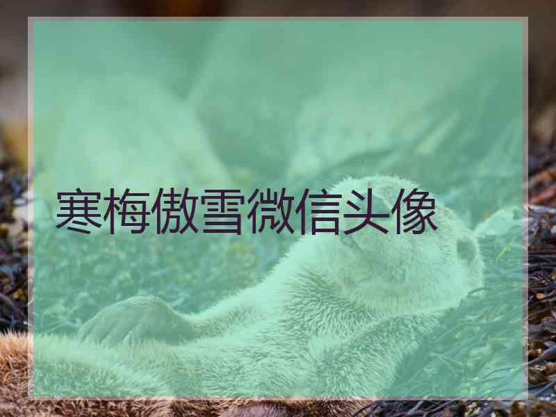 寒梅傲雪微信头像