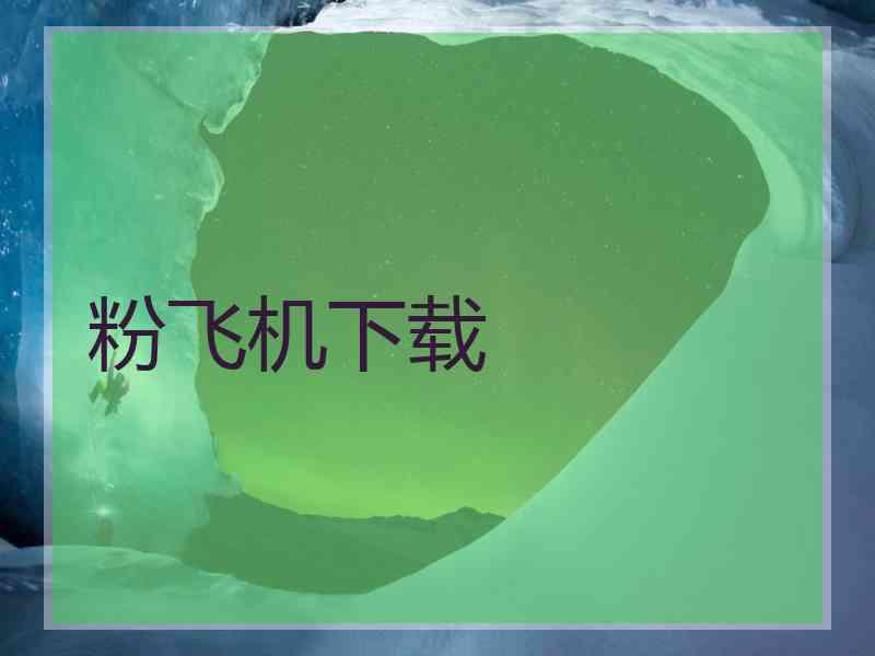 粉飞机下载