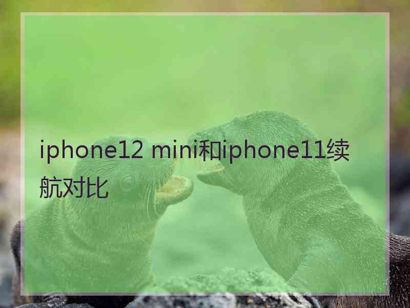 iphone12 mini和iphone11续航对比