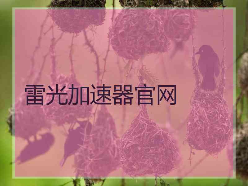 雷光加速器官网