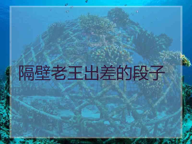 隔壁老王出差的段子