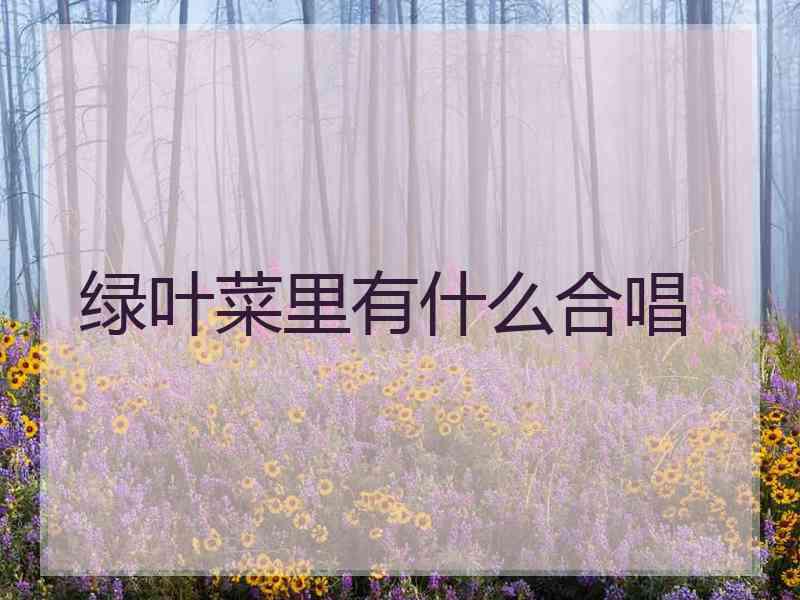 绿叶菜里有什么合唱