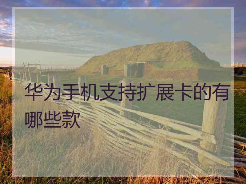 华为手机支持扩展卡的有哪些款