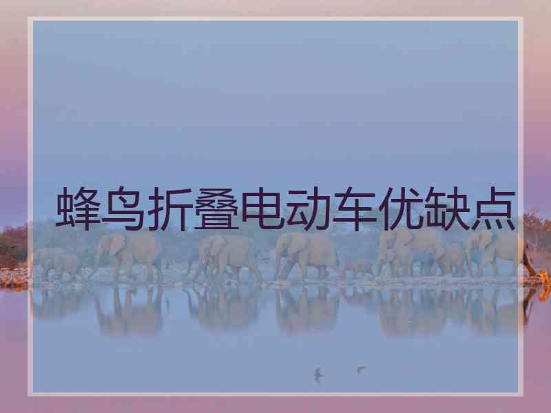 蜂鸟折叠电动车优缺点