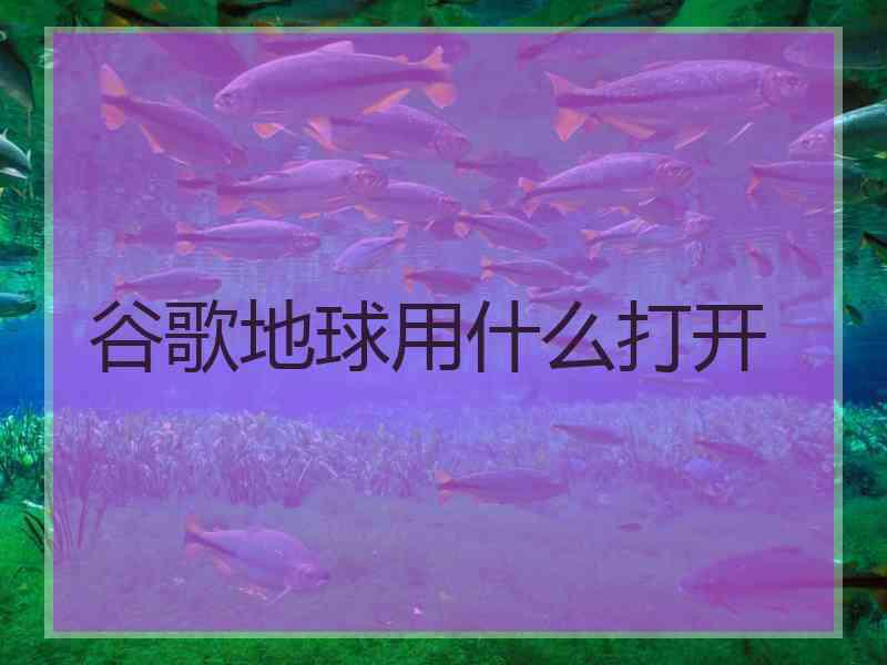 谷歌地球用什么打开