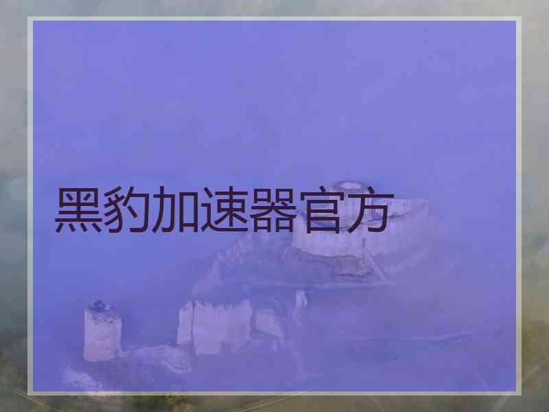 黑豹加速器官方