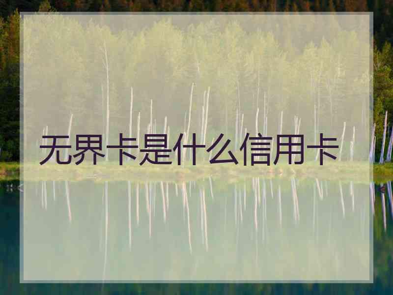 无界卡是什么信用卡