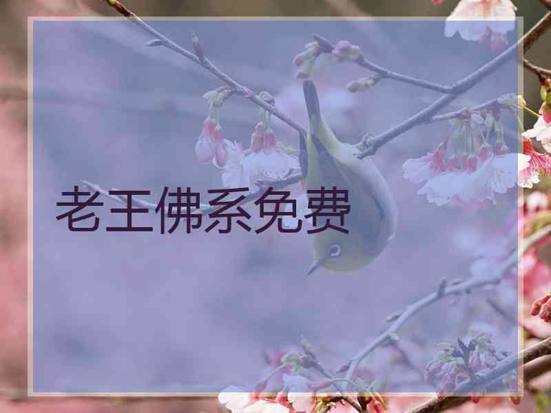 老王佛系免费