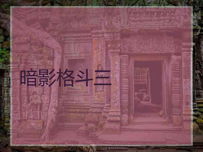 暗影格斗三