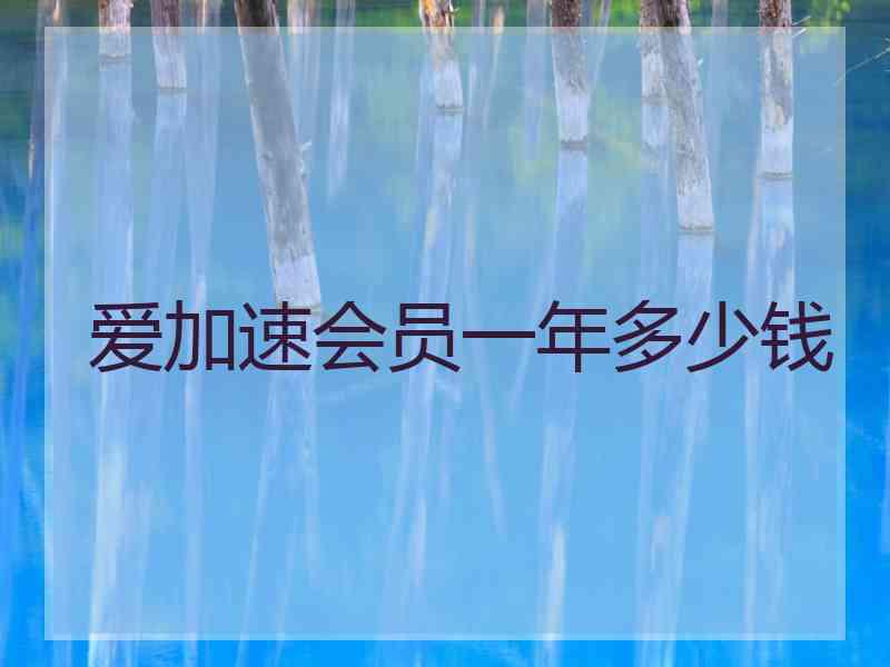 爱加速会员一年多少钱