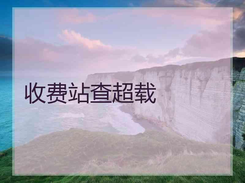 收费站查超载