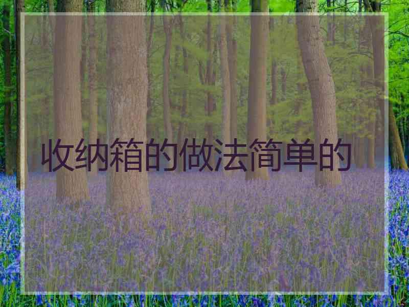 收纳箱的做法简单的