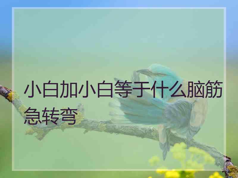 小白加小白等于什么脑筋急转弯