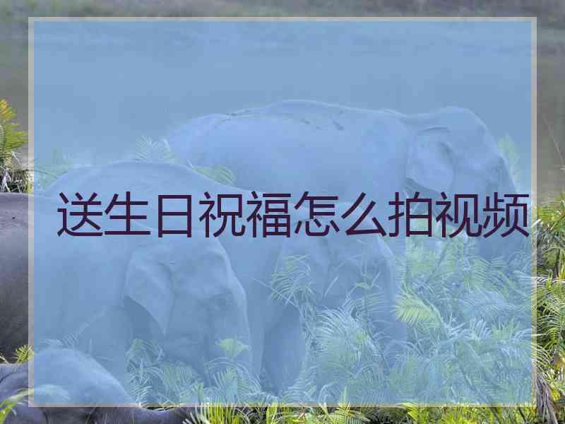 送生日祝福怎么拍视频