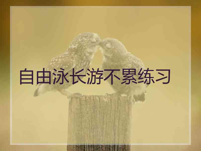 自由泳长游不累练习