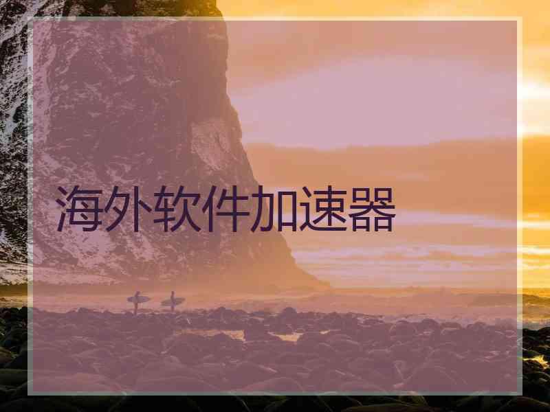 海外软件加速器