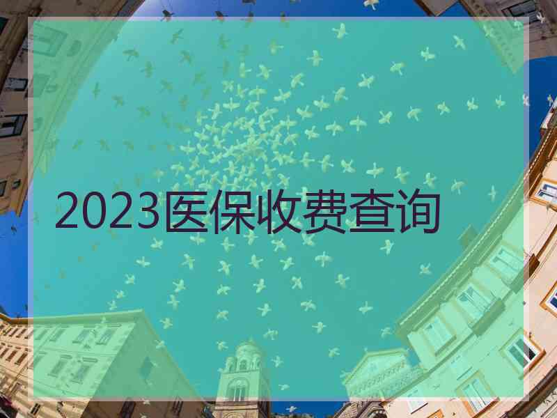 2023医保收费查询