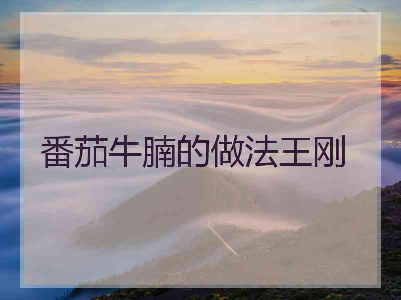 番茄牛腩的做法王刚
